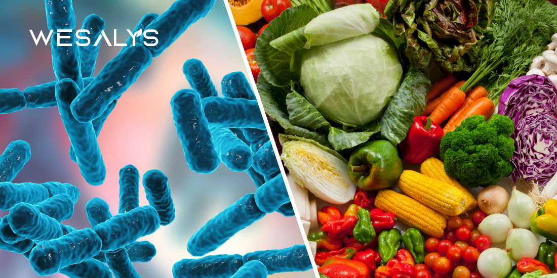 Probiotici e prebiotici: cosa sono e quali sono le differenze