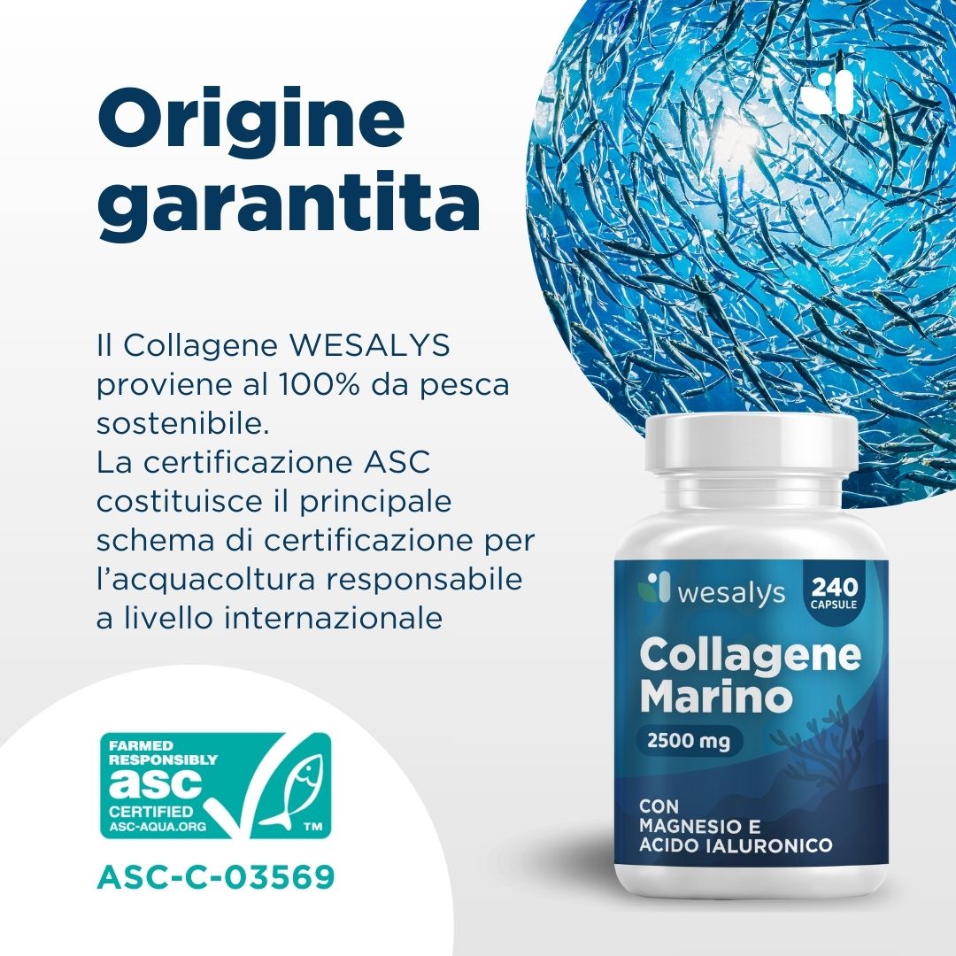 Collagene Marino