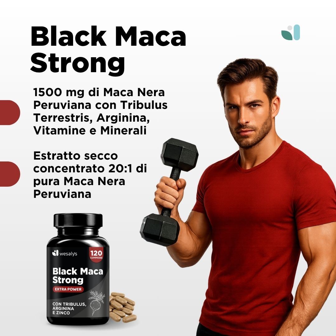 Maca Negra Fuerte