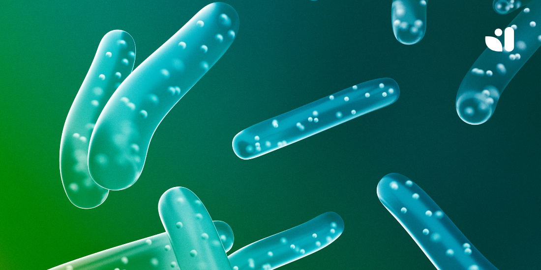 Probio UP: probiotici e vitamine B per rafforzare intestino e sistema immunitario