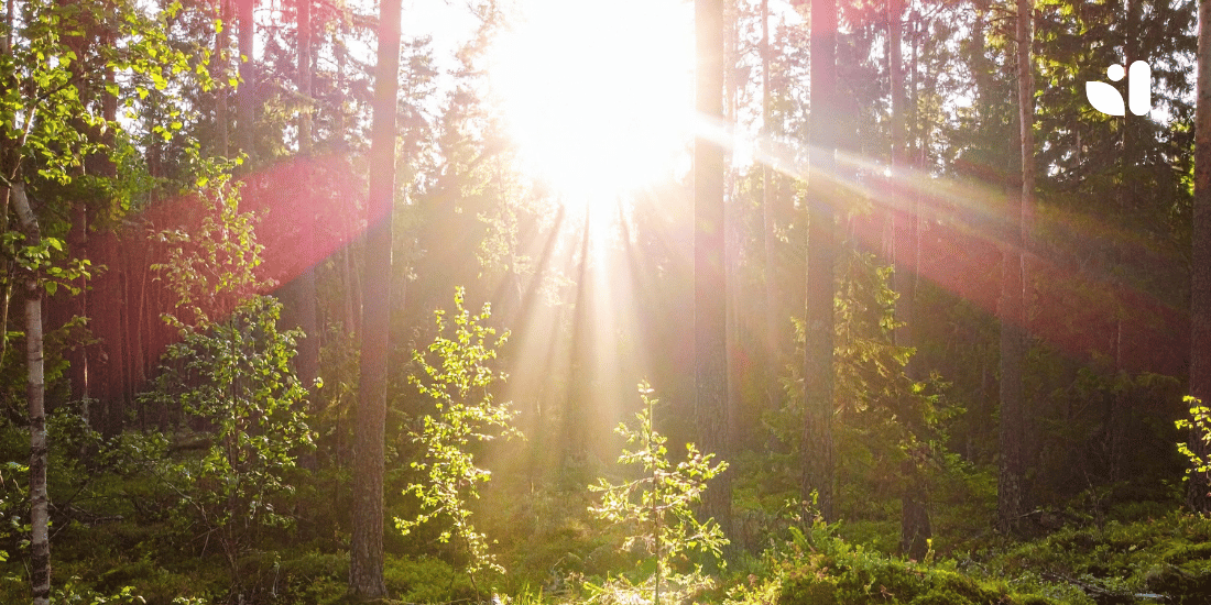 Vitamina D: l’alleata essenziale del benessere nei mesi freddi