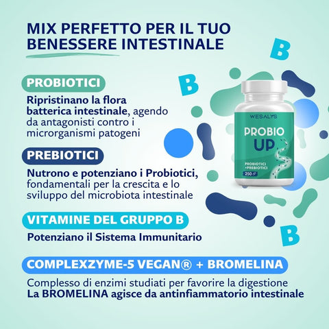 Priobio Up