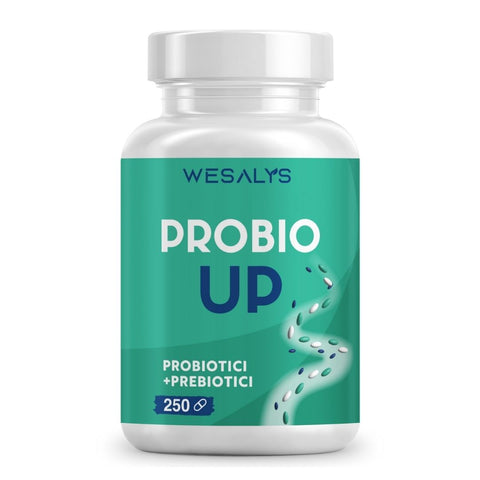 Priobio Up