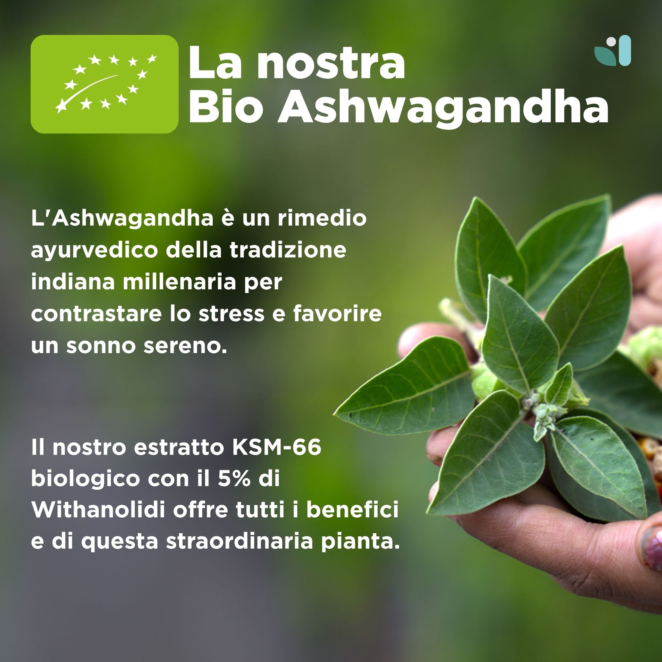 Bio Ashwagandha