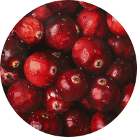 cranberry cistite
